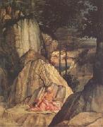 Lorenzo Lotto Jerome in the Desert (mk05) oil painting on canvas